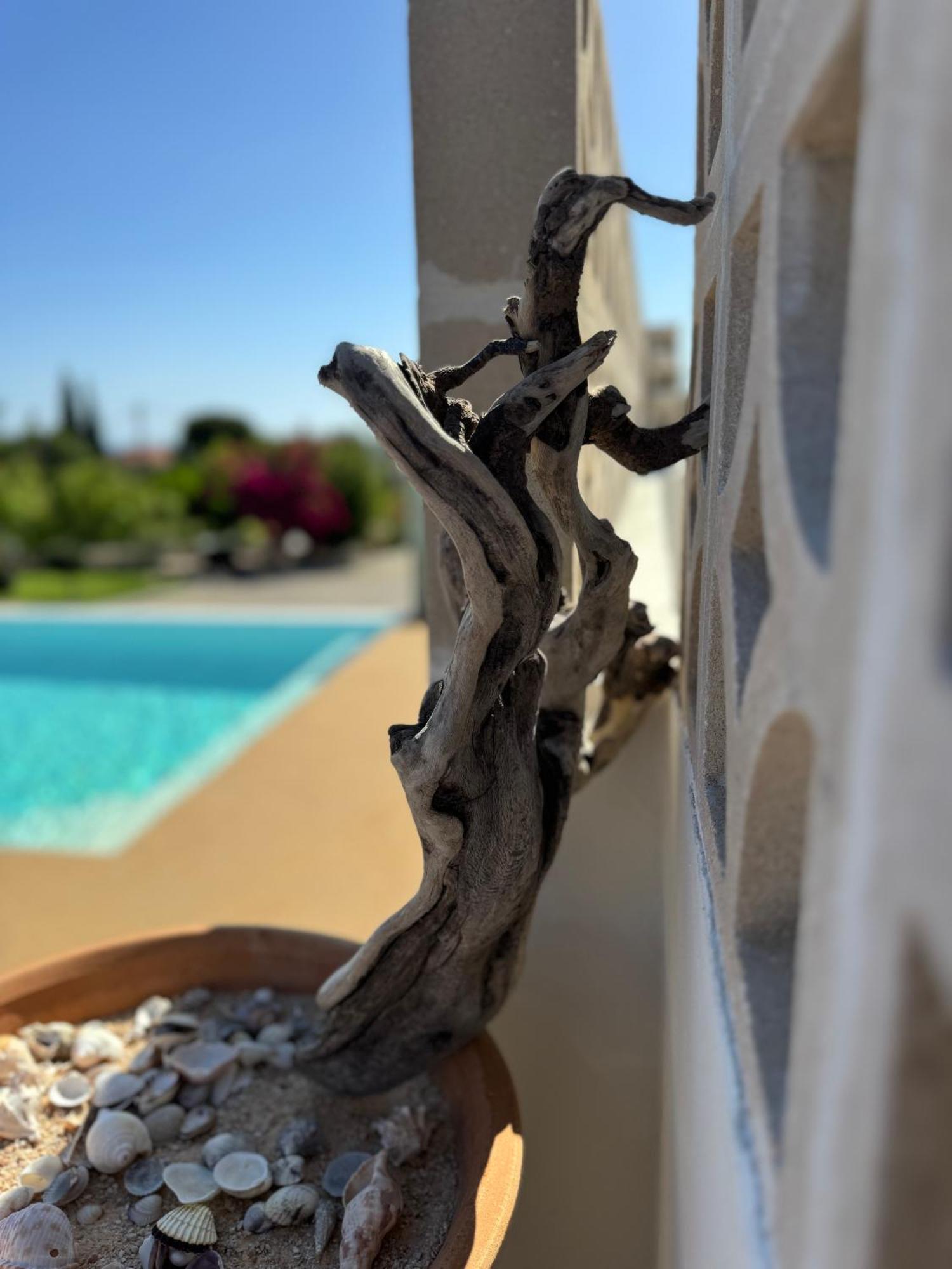 Home21 אסגורו